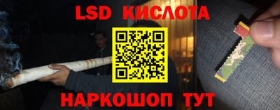 винт Новокубанск